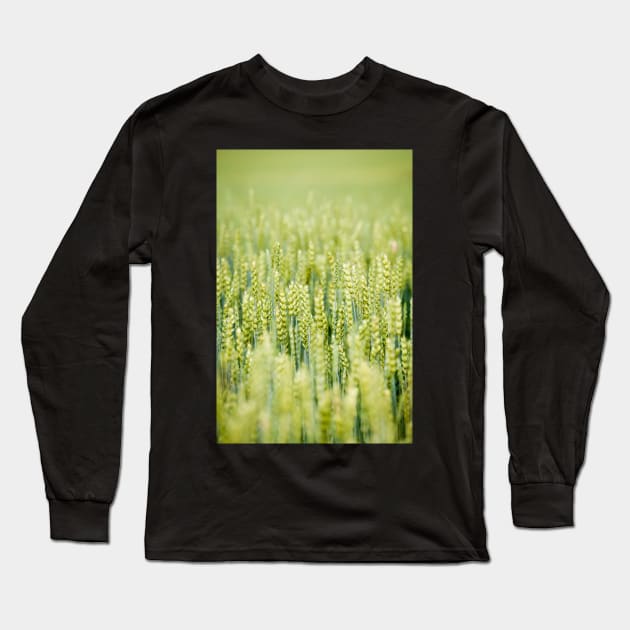 Common Wheat Long Sleeve T-Shirt by ansaharju